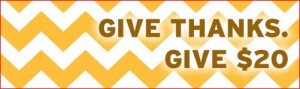 Give Thanks Give 20 logo