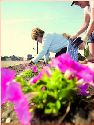 Vicky Turner helps plant flowers in Dixon.