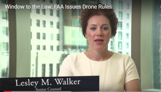 Window to the Law LesleyWalker screen capture