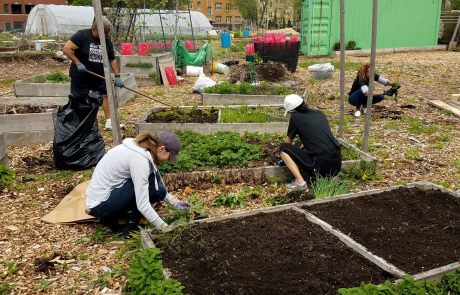 Bicentennial Community Garden