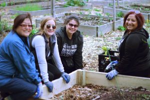 Bicentennial Community Garden