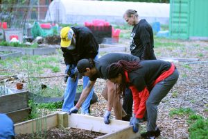 Bicentennial Community Garden