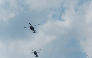 Illinois Army National Guard's First Battalion, 106th Aviation Regiment, performed a fly-over at the start of the ceremony.