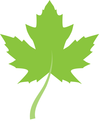 400×485 Leaf Graphic