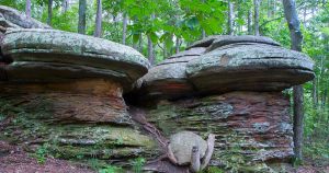 Shawnee National Forest in Southern Illinois Garden of the Gods