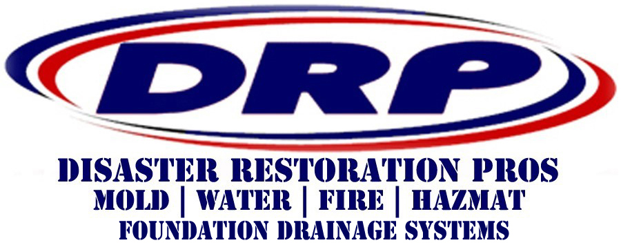 DRP New Logo 2019