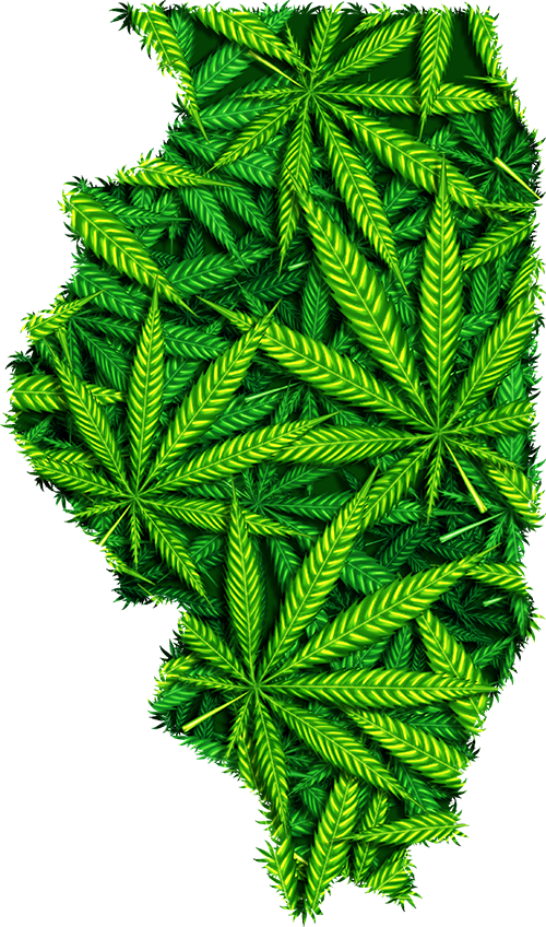 Map of Illinois marijuana leaves
