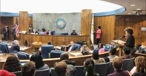 Sarah Ware speaking to Cook County Board committee