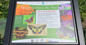 TRAR ButterflyGarden 06